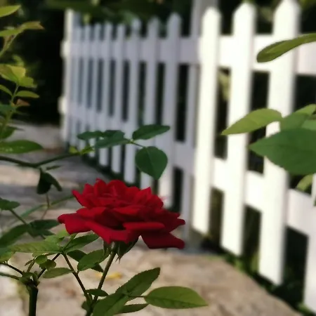 Nely's Luxury Апартаменты *