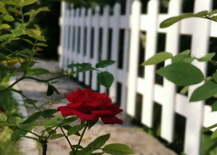 Nely's Luxury Apartment *